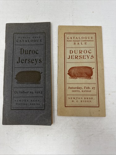 1903 1904 duroc jerseys - (2),