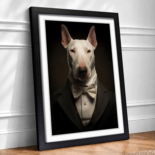 English bull terrier - english,