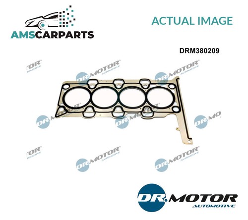 Engine cylinder head gasket - engine,