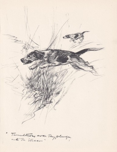 1936 foxhound dog print - 1936,