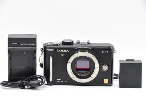 Panasonic lumix dmc gf1 works - panasonic, dmc-gf1?works