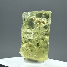 25.78ct GEMMY Beryl var