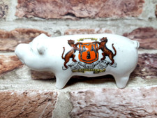 Crested China Pig With