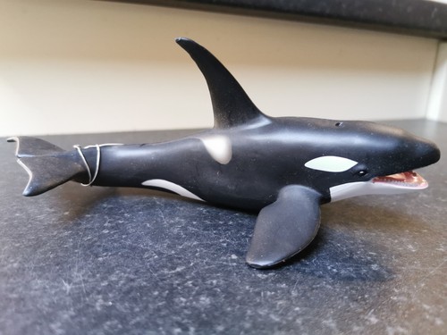 Collect killer whale - a,