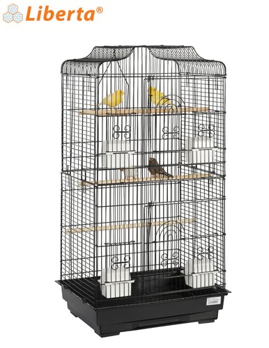 Liberta lotus extra tall - lotus,