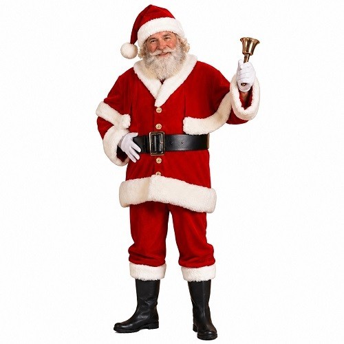 Professional santa claus - professional,