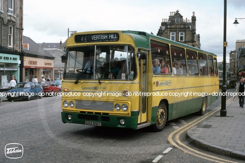 Bus photo lowland - bus,