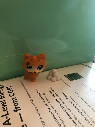 Littlest pet shop husky - shop,