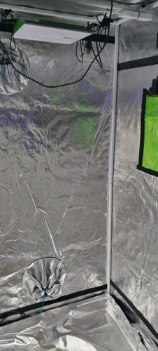 200x200x200 bloom boxx grow - 200x200x200,