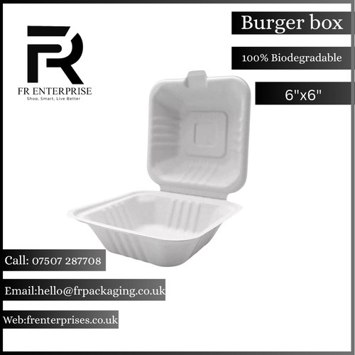 Bagasse takeaway food - bagasse,