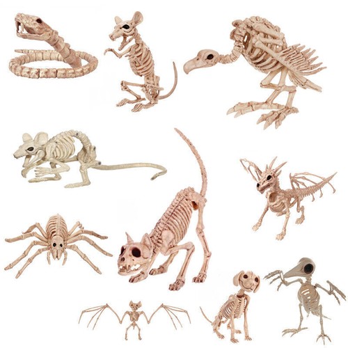 Halloween artificial animal - halloween,