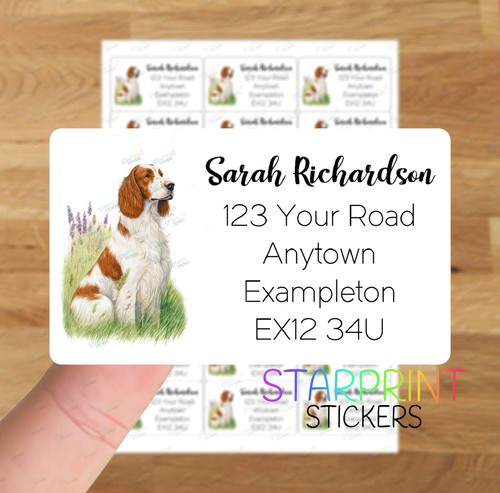 Irish red white setter - irish,