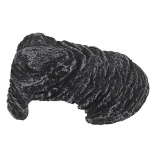  Turtle Climbing Rack Tank