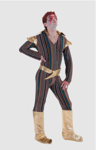 Adult mens david - david, bowie