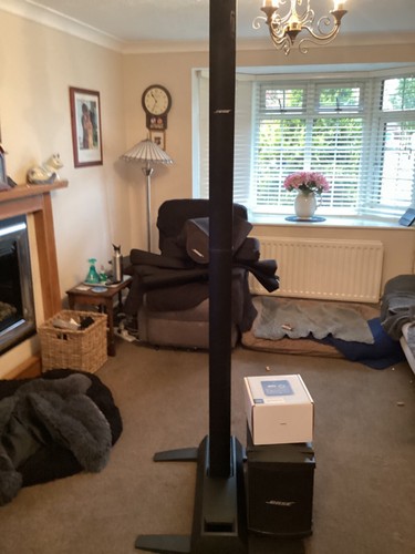 Bose model with base - 2, bins