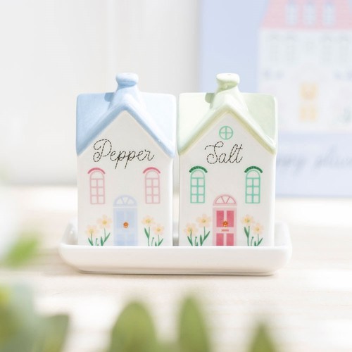 Pastel house salt and pepper - pastel,