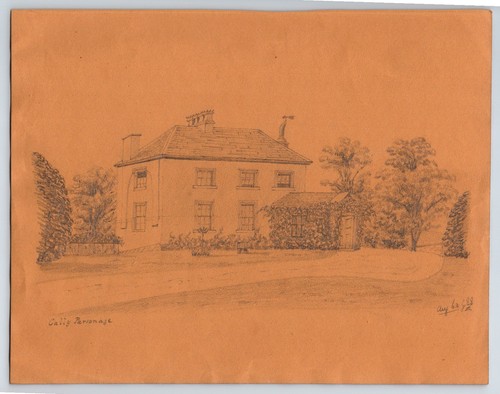 Antique pencil drawing cally - antique, drawing: