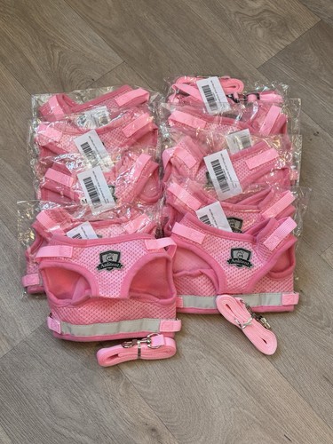 Joblot anlitent mesh cat - joblot,