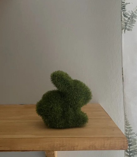 Maxx homesense easter bunny - maxx,