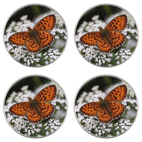 Pretty orange butterfly 4 - pretty,
