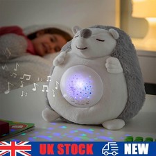 New Hedgehog Doll Plush Toy