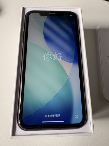 Flawless condition apple - condition,