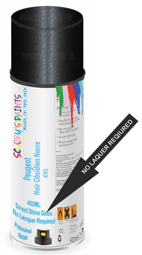 Aerosol spray paint for - aerosol,