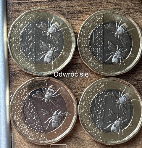 2025 great britain one - 2025,