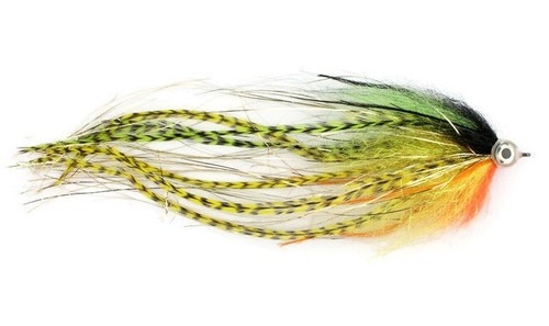 Pike flies comet predator - flies,