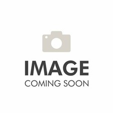 STAGG MB300 Bass Guitar + Ritter Gig Bag