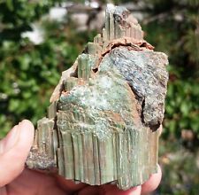 Beautiful Catedral Platy