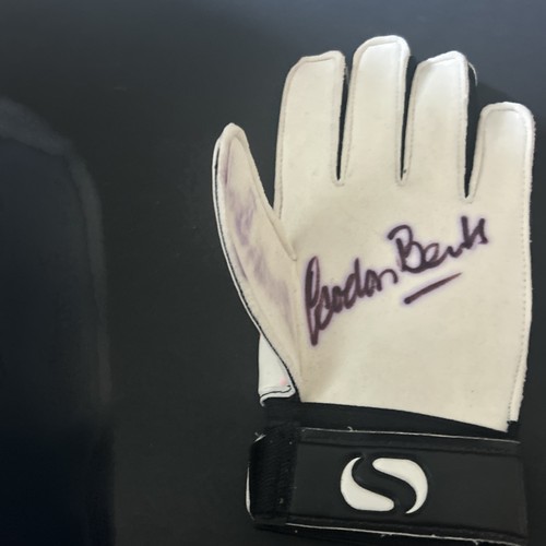 Damaged gordon banks hand - damaged,