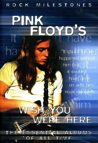 Pink floyd dark side the - pink,