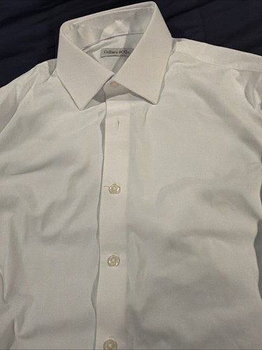 Nwot collars co apex - nwot,