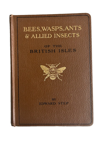 Bees wasps ants allied - ants, &