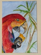 Original watercolour painting of Scarlet Macaw signed by John Elsworthy 2001
