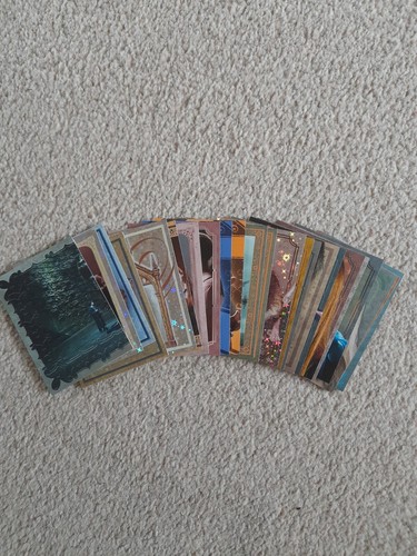Panini harry potter - harry, evolution