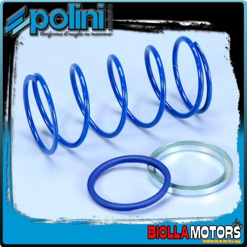 243 093 polini benelli 491 - polini,