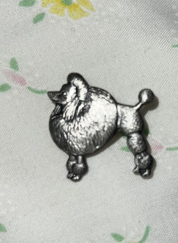 Light silver toy mini - toy, poodle