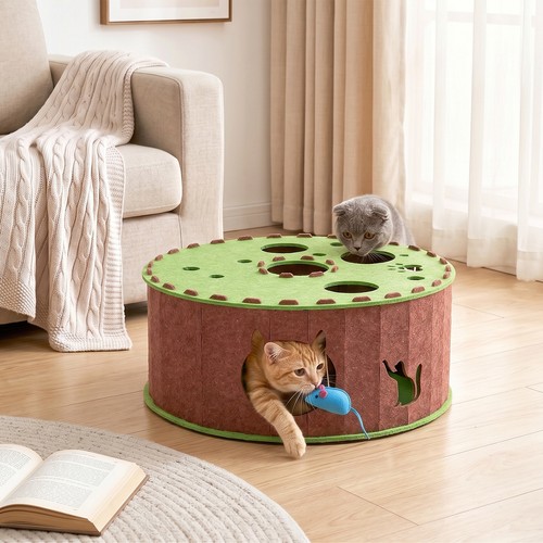 Cat tunnel bed paw kitty - cat,