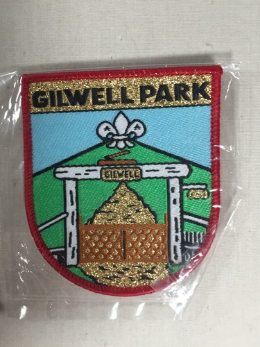 Boy scouts gilwell - boy,