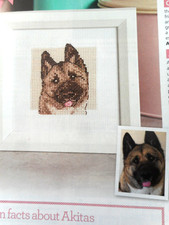 A PORTRAIT OF AN AKITA DOG. CROSS STITCH CHART. FOR CHARITY ?