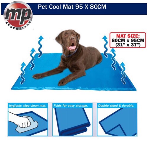Streetwize dog cat - pet, heat