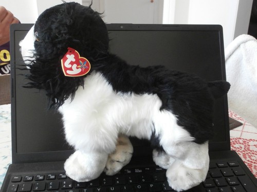 Beanie baby babies buddy - /,