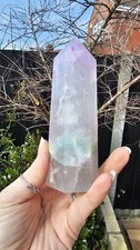 ✨️SALE✨️ Pale large