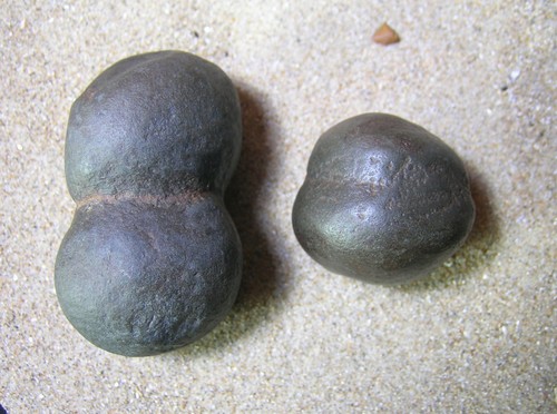 Wealden iron pyrite - wealden, /