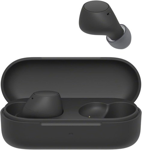 Sony c510 truly wireless - sony,