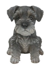 Vivid Arts Pet Pals Miniature