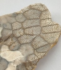 Tisbury/Wiltshire Starstone