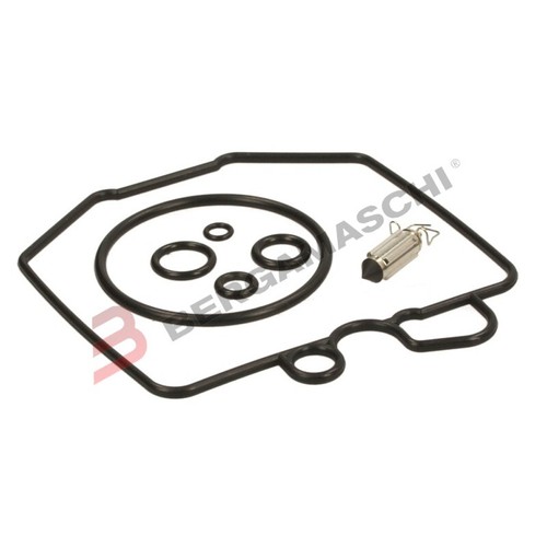 Carburetor revision kit - carburetor,
